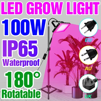 220V LED Grow Light Система выращивания Гидропоники, Led Полный спектр, Тепличные семена комнатных цветов, Фитолампа IP65, Водонепроницаемая