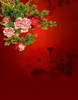 5x7ft Цветы Живопись Красный Фон Для Фотосъемки Реквизит для фотосессии студийный фон