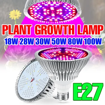 E27 Светодиодная Лампа для Выращивания Растений E14 Фито Лампа Для Теплицы Светодиодные Фонари Полного спектра Фитолампа для Растений 100 Вт Система Выращивания Гидропоники