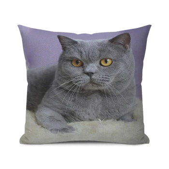 Home-Decor-British-Shorthair-Russian-Blue-Cushion-Cover-Cute-Cat-Pet-Animal-Pillowcase-Sofa-Polyester-Pillowcase-25x25~70x70CM