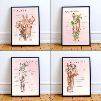 Подарок для массажиста с цветочной анатомией, художественные плакаты для массажной системы, принты для натуропатических отделений
