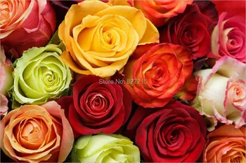 Потолочная пленка с цветной печатью розы R-2817/ Подходит для обоев/ Plafond tendu/ Герги Таван