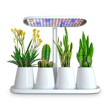 Светильник для роста растений Полный спектр суккулентов и цветов Светодиодный заполняющий светильник Регулируемая высота и яркость для тепличных овощей