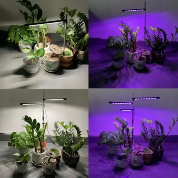 Светодиодная лампа для выращивания комнатных растений, красная, синяя, 4000 К, лампа для выращивания растений полного спектра с тайммером для гидропонной рассады цветов, травы